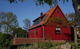 Ferienhaus Darßblick mit Terrasse und Sauna